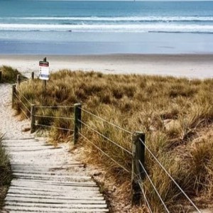 The Glorious Beaches of Aotearoa: Where We Begin